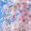 【ご感想㉑】結局どうしたいかは自分次第なんだなと思いました。