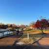 ロケハン&ウォーキング！2023.12.4 富岩運河環水公園