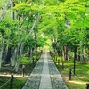 京都の穴場絶景！初夏の嵐山は新緑が美しいお寺がいっぱい！