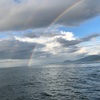 雨の釣り