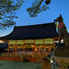 紅葉の京都へ〈３〉夕方と夜の伏見稲荷大社♪ 千本鳥居に行ったよ