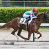 愛馬観戦記　【トラモント　4歳上1勝クラス】