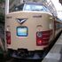 【乗車記】JR東日本 快速マリンブルーくじらなみ～183系（柏崎→熊谷）