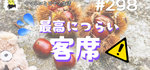 お庭の乱れはココロの乱れ💔(・Θ・；)