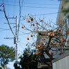 Fragments #4