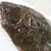 旬の魚料理・応用講座・１１月実習・天然ヒラメ