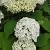 足の指の骨折を振り返る　その10