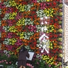金沢市「緑と花の日」記念（大型飾花）