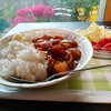 5月26日　収穫した野菜たちでカレーを作りました