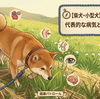 【保存版】柴犬・小型犬が注意すべき病気5選！初期症状と家庭でできる対策まとめ