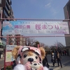 #隅田公園桜祭り#スカイツリー#桜#隅田川#浅草