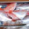 沖釣り（その１）