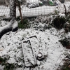 ２．５（月・雪）午後から雪。明日は積雪。
