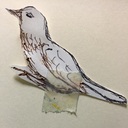 優しい風にゆれながら