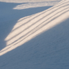 雪が降ったので撮る。