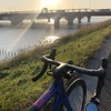 本日のライド 江戸川宝珠花橋まで往復〜利根川 利根川橋まで往復107km