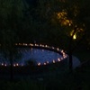 Candle Night @ Monet Garden