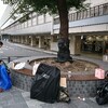 【前編】京都＆姫路１泊２日世界遺産観光ライド🚴