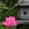 法起院、談山神社