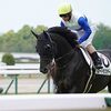 １７日の検疫で栗東・千田厩舎へ帰厩しています。☆ロードラスター