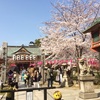 2015年　土佐稲荷神社の桜（３月31日）