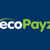 入金は電子決済の「ecoPayz」に決定！これが一番便利じゃない？