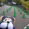 #上野動物園#双子パンダ抽選なし観覧方法