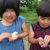 こっこ母さん親子が佐藤家にやってきた！