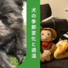 犬の季節変化と適温の目安