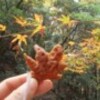 故郷は、美味しいな