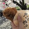 たい焼きレポート第218弾「屋台＠岩倉桜まつり2019」in愛知県岩倉市