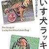 車いす犬ラッキー　捨てられた命と生きる（2018　課題図書　高等学校）