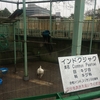 和歌山市[和歌山城公園動物園]までツーリング