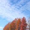 相手の奥を見始めたら空気が変わった