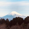 今朝の景色