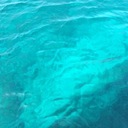 立ち止まって見上げた空に。