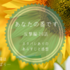 あなたの番です 16話 -反撃編-　詳しいあらすじと感想【考察】