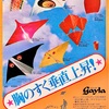 ゲイラ・カイト  Advertisement