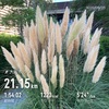 久々の足攣り