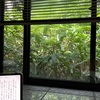 9月15日（日）草津から東京へ、特急草津・四万、夜は火鍋屋