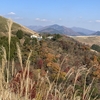 下山メシの大野山