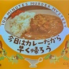 マーダーミステリー「今日はカレーだから早く帰ろう」プレイ感想