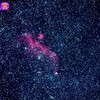 わし星雲 IC2177