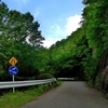 川俣・山王林道・奥日光（Jun-2018）
