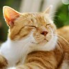 猛烈な雨降る。
