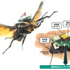 じじぃの「昆虫をサイボーグ化・小さなロボットではないんです？夢の発明」
