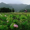 今朝は山方面