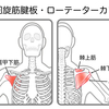 症例報告（肩、肩甲骨の周りが痛い）