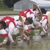 苗代水よどむ足跡乙女かも