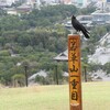 奈良公園～公園と呼ぶにはあまりにも～